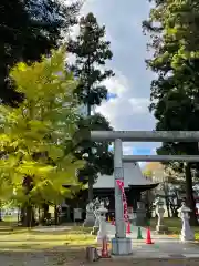 大宮神社(岩手県)