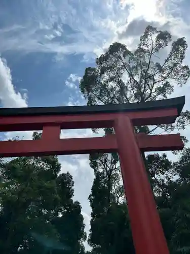 井草八幡宮(東京都)