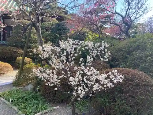 薬師院(神奈川県)