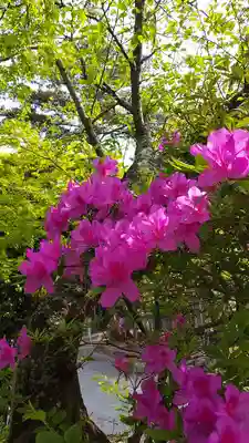 忌宮神社(山口県)