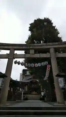 大鳥神社の鳥居