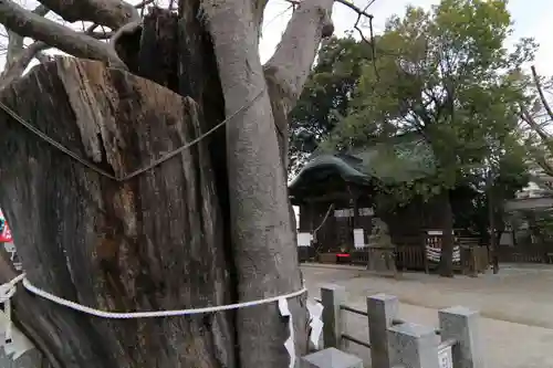 阿邪訶根神社の景色