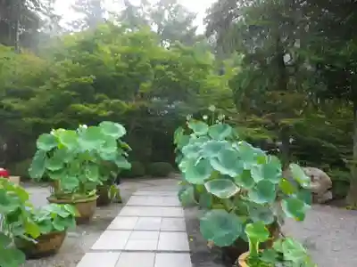 覚園寺のその他建物