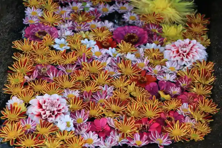 大鏑神社の手水舎