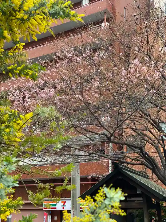 蔵前神社の自然