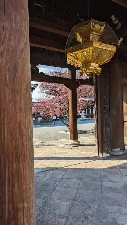 興正寺(京都府)