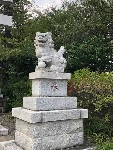 立川熊野神社の狛犬