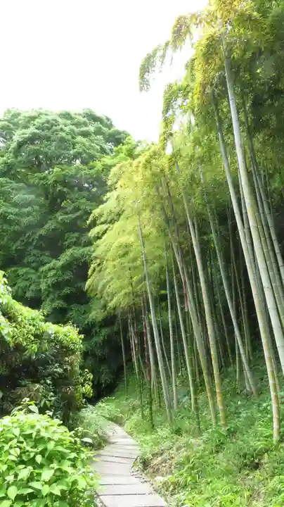 長壽寺(長寿寺)の周辺