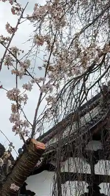満願寺(京都府)