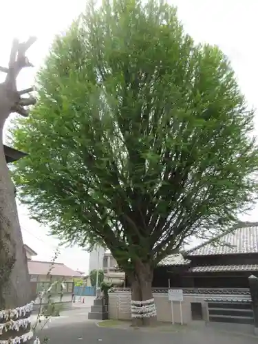 子守神社の自然