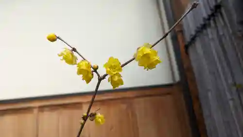 勝林寺(京都府)