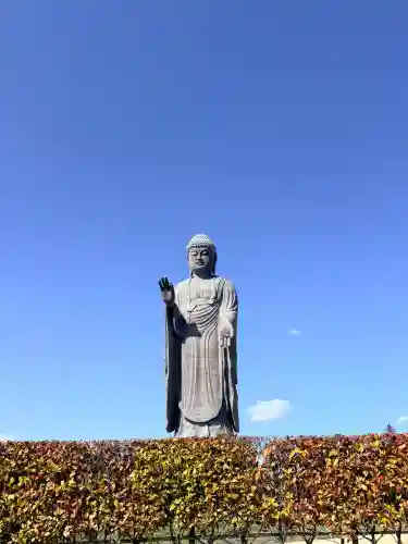 東本願寺本廟 牛久浄苑（牛久大仏）の{uncategorized: "未分類", other: "その他", undefined: "問題あり", building: "その他建物", grave: "お墓", sacred_gate: "鳥居", guardian: "狛犬", statue: "像", buddha: "仏像", history: "歴史", nature: "自然", garden: "庭園", animal: "動物", pagoda: "塔", temizu: "手水舎", mountain_gate: "山門・神門", sanctuary: "本殿・本堂", subordinate: "末社・摂社", art: "芸術", scenery: "景色", jizo: "地蔵", ema: "絵馬", goshuin: "御朱印", omikuji: "おみくじ", items: "授与品その他", amulet: "お守り", goshuincho: "御朱印帳", eats: "食事", festival: "お祭り", votive_dance: "神楽", shichigosan: "七五三参", wedding: "結婚式", experience: "体験その他", initially: "初詣", around: "周辺", anti_infection: "感染症対策"}