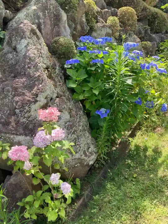 横浜 西方寺の自然