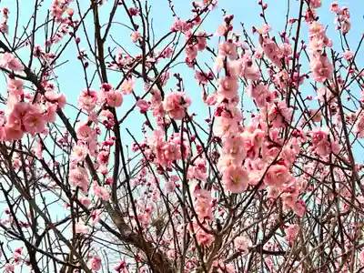 大願寺(広島県)