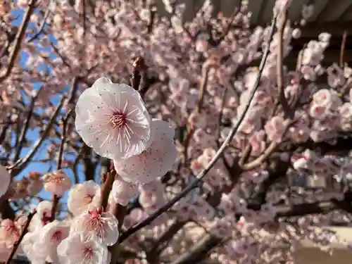 正眼寺(愛知県)