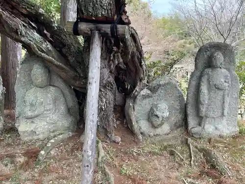 大覚寺(京都府)