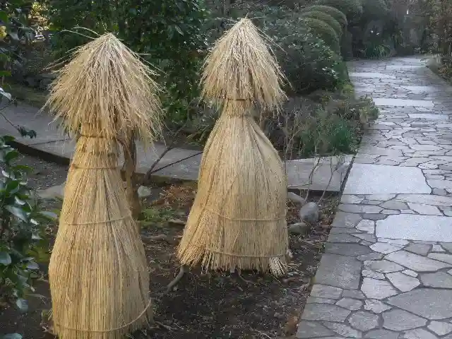 大巧寺のその他建物