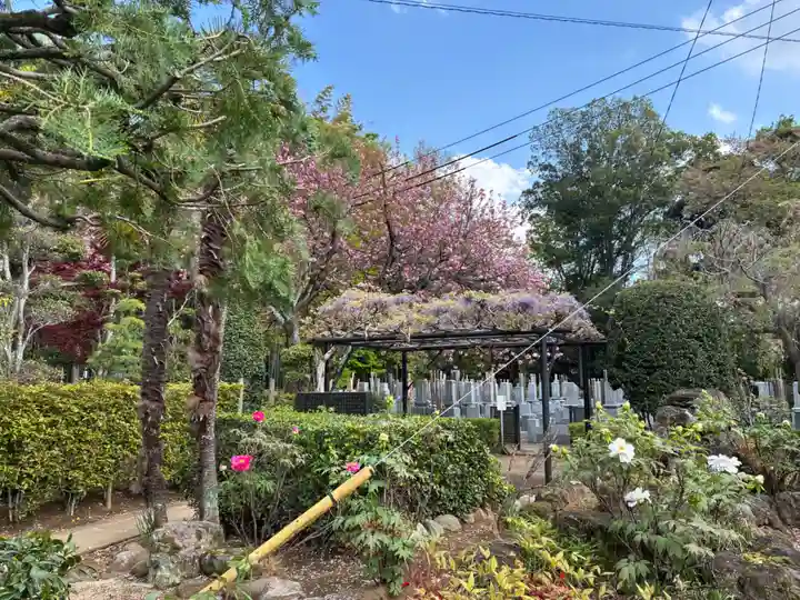 東福寺(千葉県)
