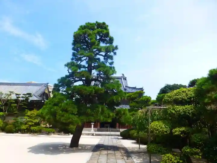 千眼寺(福岡県)