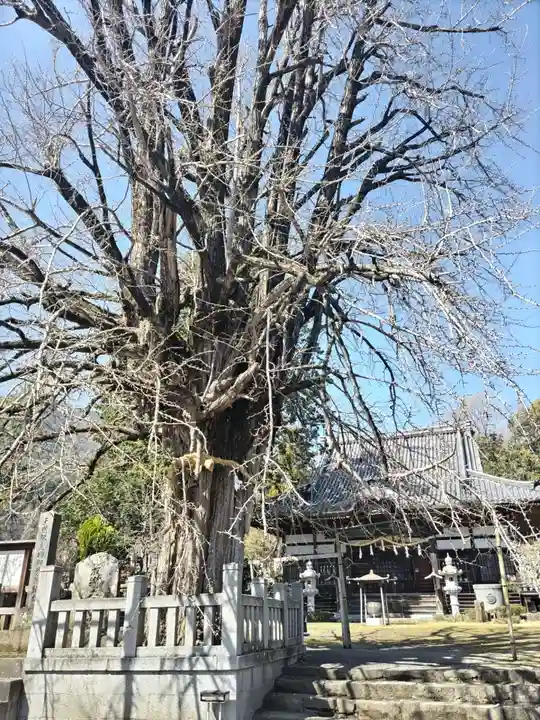 本國寺(山梨県)