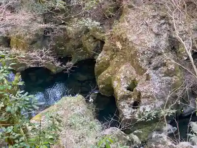 元伊勢天岩戸神社の{uncategorized: "未分類", other: "その他", undefined: "問題あり", building: "その他建物", grave: "お墓", sacred_gate: "鳥居", guardian: "狛犬", statue: "像", buddha: "仏像", history: "歴史", nature: "自然", garden: "庭園", animal: "動物", pagoda: "塔", temizu: "手水舎", mountain_gate: "山門・神門", sanctuary: "本殿・本堂", subordinate: "末社・摂社", art: "芸術", scenery: "景色", jizo: "地蔵", ema: "絵馬", goshuin: "御朱印", omikuji: "おみくじ", items: "授与品その他", amulet: "お守り", goshuincho: "御朱印帳", eats: "食事", festival: "お祭り", votive_dance: "神楽", shichigosan: "七五三参", wedding: "結婚式", experience: "体験その他", initially: "初詣", around: "周辺", anti_infection: "感染症対策"}
