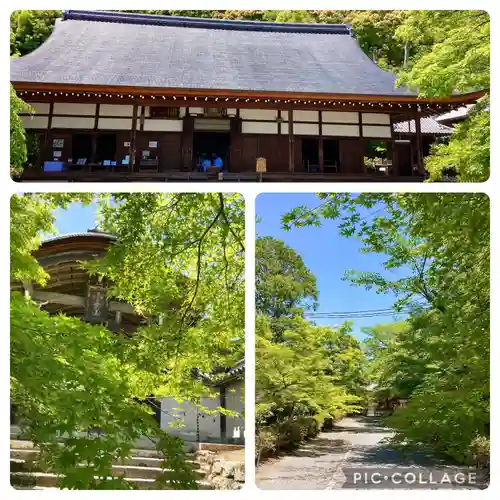 二尊院(京都府)