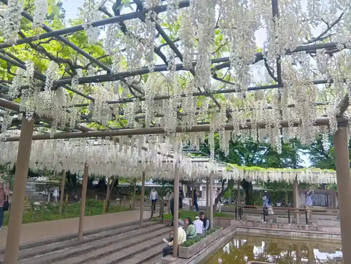 曼陀羅寺(愛知県)