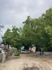 金岡神社の建物その他