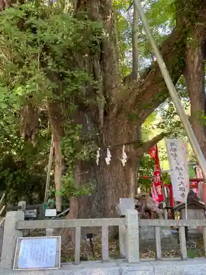 海南神社(神奈川県)