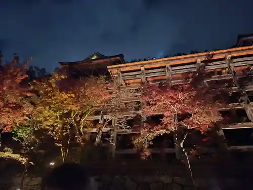 清水寺(京都府)