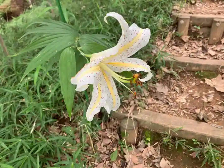 浄慶寺(神奈川県)