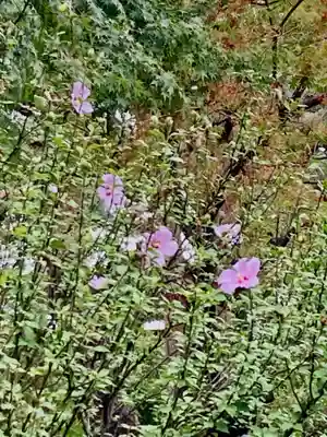 開成山大神宮(福島県)