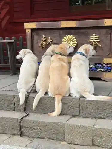 武蔵御嶽神社(東京都)