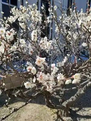 大宮神社(千葉県)