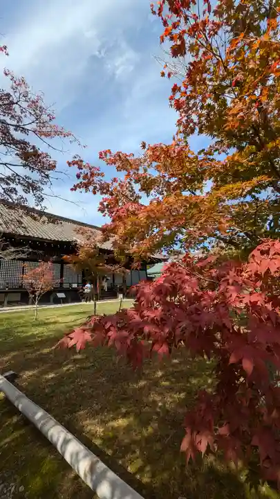 勧修寺(京都府)