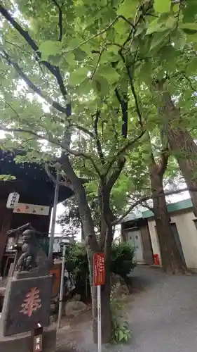 七社神社(東京都)