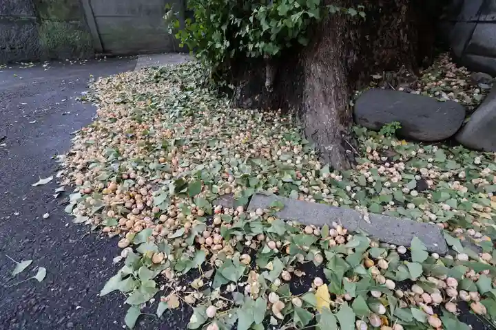 法禅寺(東京都)