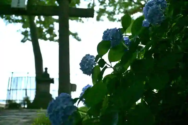 安禅寺(新潟県)