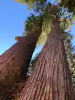 榛名神社の自然