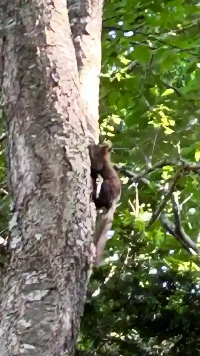 小板端光稲荷(北海道)