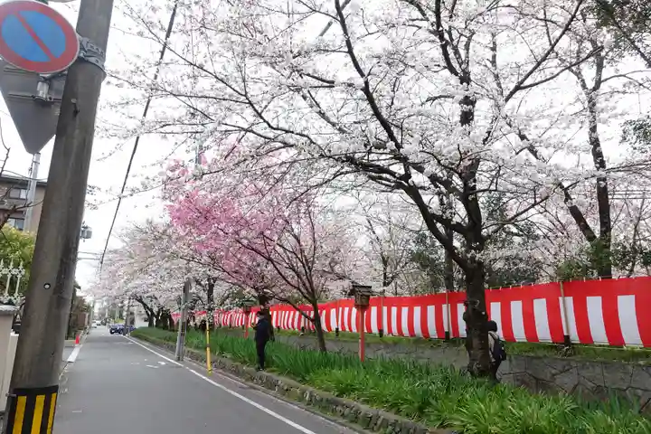 平野神社(京都府)