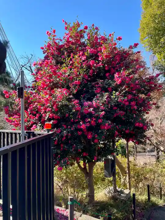 清水観音堂(東京都)