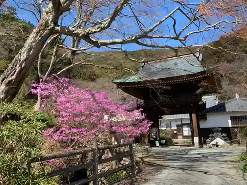 普門寺(切り絵御朱印発祥の寺)の山門・神門