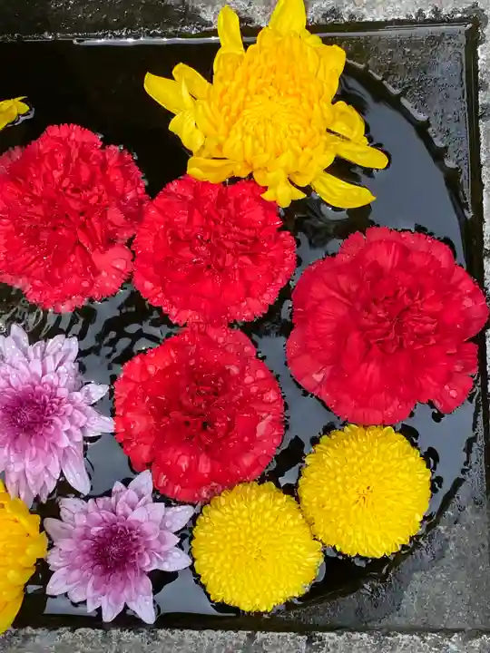 八幡山観音寺の手水舎