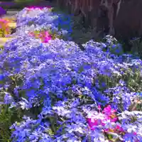 寿量山 速成寺(奈良県)