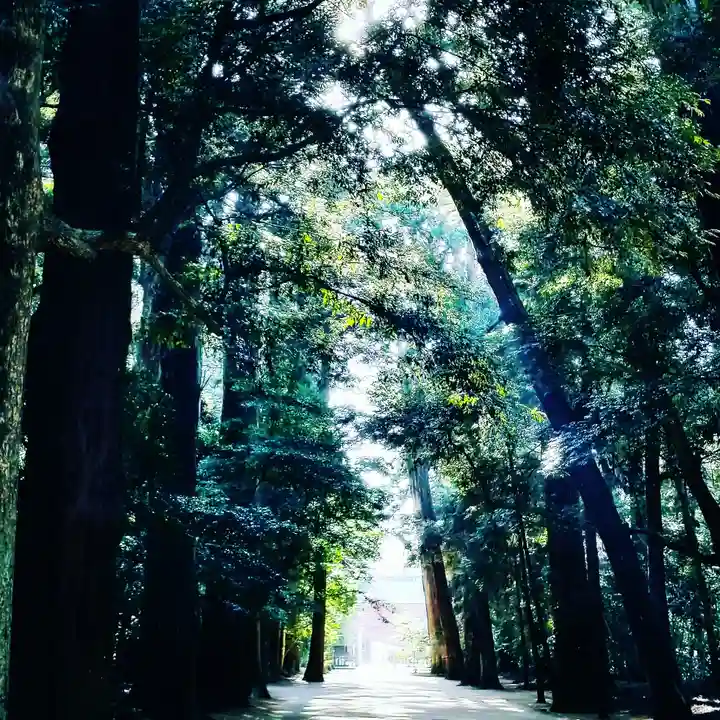 鹿島神宮の自然