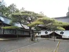 尾張冨士大宮浅間神社の本殿