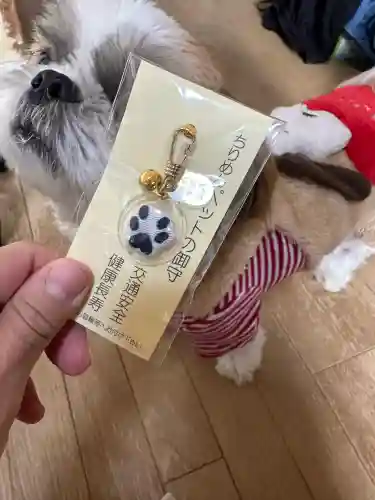 小野八幡神社の{uncategorized: "未分類", other: "その他", undefined: "問題あり", building: "その他建物", grave: "お墓", sacred_gate: "鳥居", guardian: "狛犬", statue: "像", buddha: "仏像", history: "歴史", nature: "自然", garden: "庭園", animal: "動物", pagoda: "塔", temizu: "手水舎", mountain_gate: "山門・神門", sanctuary: "本殿・本堂", subordinate: "末社・摂社", art: "芸術", scenery: "景色", jizo: "地蔵", ema: "絵馬", goshuin: "御朱印", omikuji: "おみくじ", items: "授与品その他", amulet: "お守り", goshuincho: "御朱印帳", eats: "食事", festival: "お祭り", votive_dance: "神楽", shichigosan: "七五三参", wedding: "結婚式", experience: "体験その他", initially: "初詣", around: "周辺", anti_infection: "感染症対策"}