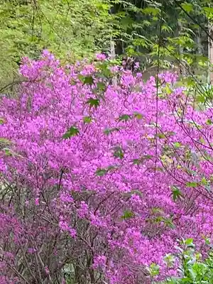 塩船観音寺(東京都)
