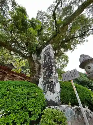 青岸渡寺(和歌山県)